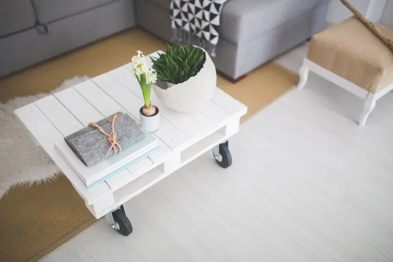 The Lived-In Home: Why Young Americans Are Finally Letting Their Apartments Be Ugly